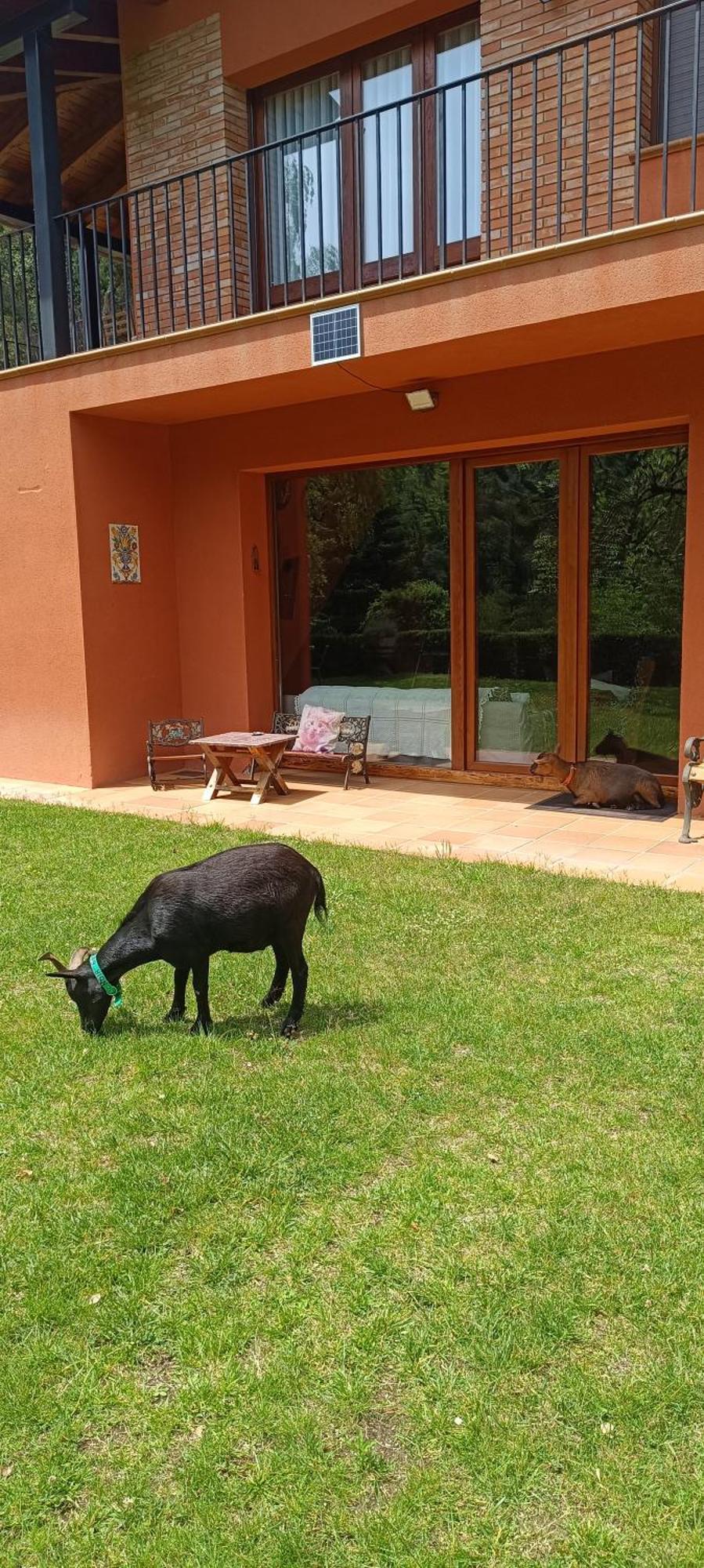 Villa Ca La Montse Viladrau Exterior foto